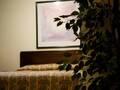 Travelodge Hotel Downtown Chicago photo 2