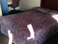 Cadet Motor Inn Coldwater photo 10