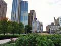 Best Western Grant Park Hotel photo 12