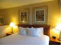 Holiday Inn Express Hotel And Suites Midway Airport photo 5