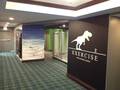 Acme Hotel Company Chicago photo 11