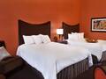 Hampton Inn Majestic Chicago 图片 7