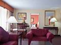 Holiday Inn Chicago O'hare Area 图片 20