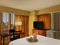 Chicago's Essex Inn 图片 16