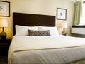 Inn Of Chicago photo 9