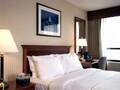 Inn Of Chicago photo 10
