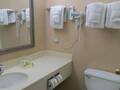 Holiday Inn Hotel And Suites Downtown Chicago 图片 13