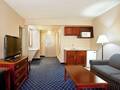 Holiday Inn Hotel And Suites Downtown Chicago 图片 4