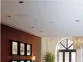 Holiday Inn Express Magnificient Mile Hotel Cass 图片 1