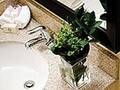 Comfort Suites North Michigan Avenue 图片 8