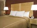 Comfort Suites North Michigan Avenue 图片 16
