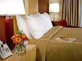 Comfort Suites North Michigan Avenue 图片 15