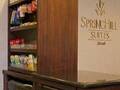 Springhill Suites O' Hare Chicago 图片 16