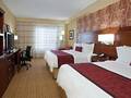 Courtyard By Marriott Chicago Magnificent Mile 图片 12