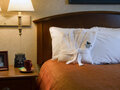 Homewood Suites By Hilton Chicago Downtown 图片 3