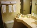 Marriott Chicago O' Hare 图片 1