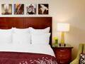 Marriott Chicago O' Hare 图片 14