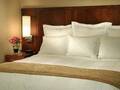 Courtyard By Marriott Chicago Downtown River North 图片 5