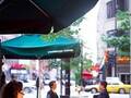 Courtyard By Marriott Chicago Downtown River North 图片 13