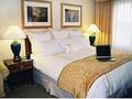 Chicago Marriott Midway 图片 5