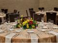 Chicago Marriott Midway 图片 9