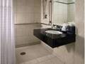 Embassy Suites Chicago 图片 3