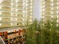 Embassy Suites Chicago 图片 5