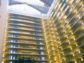 Embassy Suites Chicago 图片 17