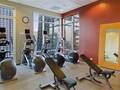 Hilton Suites Chicago/Magnificent Mile 图片 20