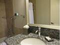 Crowne Plaza Chicago Magnificent Mile 图片 21