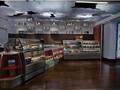 Hilton Chicago O' Hare Airport 图片 1