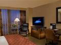Hilton Chicago O' Hare Airport 图片 13