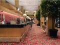 Hilton Chicago O' Hare Airport 图片 12