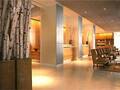 The James Chicago 图片 19