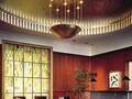 The Peninsula Chicago 图片 10