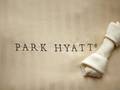 Park Hyatt Chicago 图片 6