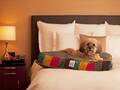 Park Hyatt Chicago 图片 10