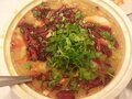 Sichuan Chong Qing Cuisine photo 1