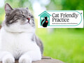 Blum Animal Hospital photo 1