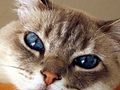 Animal Ark Veterinary Clinic photo 1