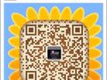波音速递 - overseaex 图片 1
