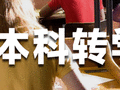 威尔麒国际教育 - Wilshire Global Consulting 图片 17
