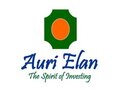 奥瑞伊兰理财集团公司 - Auri Elan Financial Group photo 1