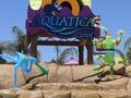 Aquatica, SeaWorld's Waterpark 图片 1