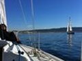南湾帆船 - South Bay Sailing photo 1