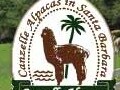 羊驼农场 - Canzelle Alpacas 图片 1