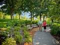 百草园 - Myriad Botanical Garden photo 1