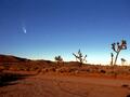 约书华树国立纪念公园 - Joshua Tree National Monument 图片 1