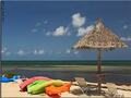 西礁岛 - Key West photo 1