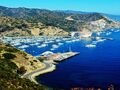 卡特琳娜岛 - Catalina Island photo 1